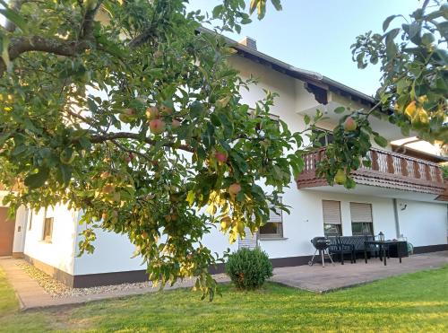 Ferienwohnung Wandersnest in Gersfeld, Deutschland
