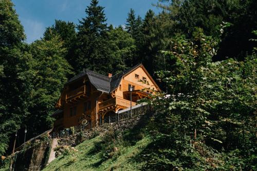 Pensjonat Alpejski Dwor - Miedzygorze