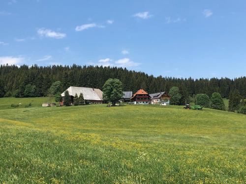 Rengethof in Eisenbach Hochschwarzwald, Deutschland