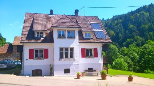 Fewo Moonshine 79 in St. Blasien, Deutschland