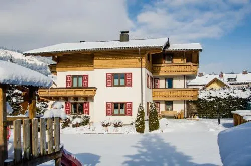 Bartnelke in St. Johann im Pongau, Österreich