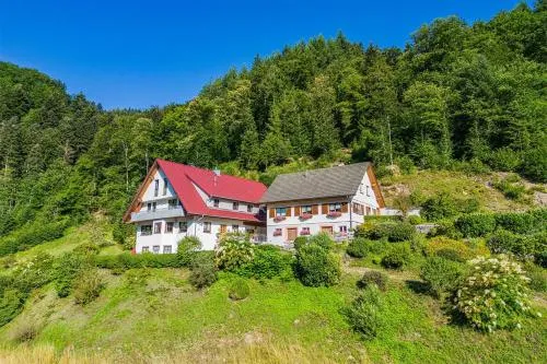 Haus Niedermättle in Oppenau, Deutschland