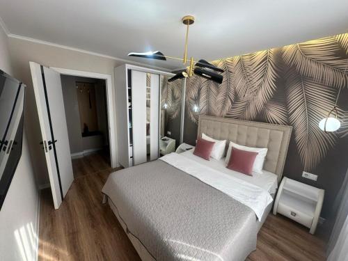 Sweethome Riscani, Kišiněv