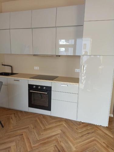virtuve, Hotel zur Panke Wohnung 3 in Panketal