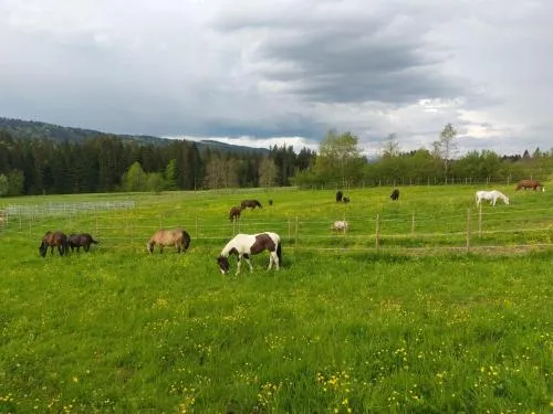 Lieblingsplatz in Weiler-Simmerberg, Deutschland