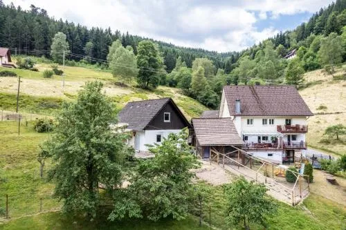Haus Am Waldrand in Schenkenzell, Deutschland