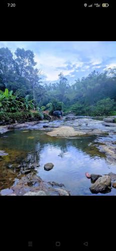 Alhind Residency , Valara, Munnar in Chillithodu