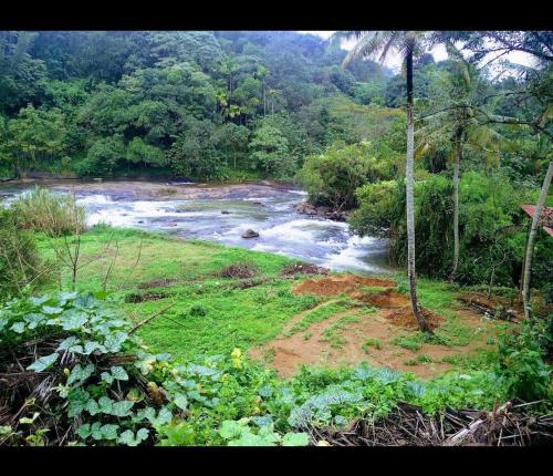 Alhind Residency , Valara, Munnar in Chillithodu