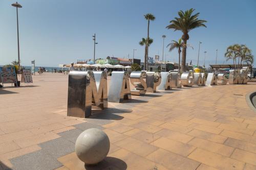 Lirio Blanco de las Dunas Canarias - image 3