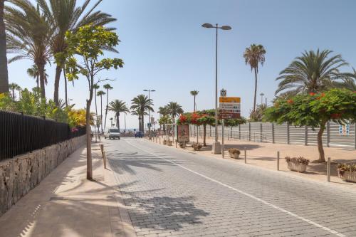 Lirio Blanco de las Dunas Canarias - image 2