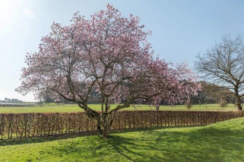 Haus Hasenweide in Scheinbuch, Deutschland