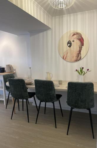 Bright and comfortable studio for 4 people in Irrel