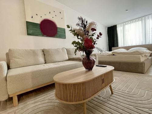 Bright and comfortable studio for 4 people in Irrel