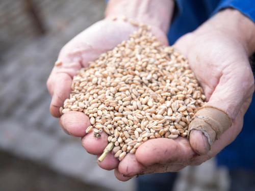 Biobauer Heubach in Iphofen, Deutschland