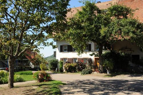 Exterior view, Gschwanderhof in Glottertal