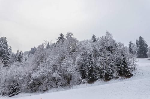Pohled zvenku, Schwüwong Sportapartments 03 (Schwuwong Sportapartments 03) in Kelchsau