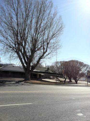 Gunnison Inn - image 5