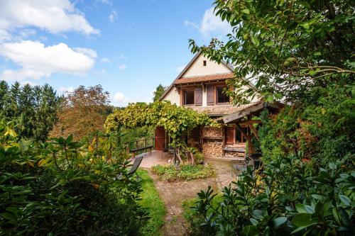 La Colline aux Oiseaux gîte à louer Scheidwald