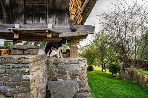 Viesnīcas āriene, La Casina Del Fresnu in Miravalles