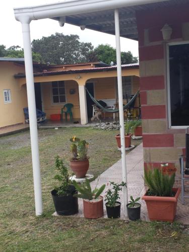 Esterno, Hospedaje Rampolla's in Nueva California