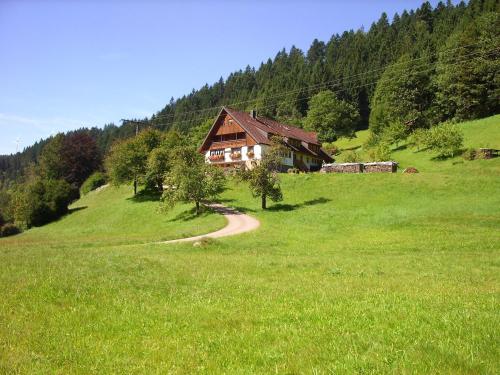 Vogtshof - Lossburg