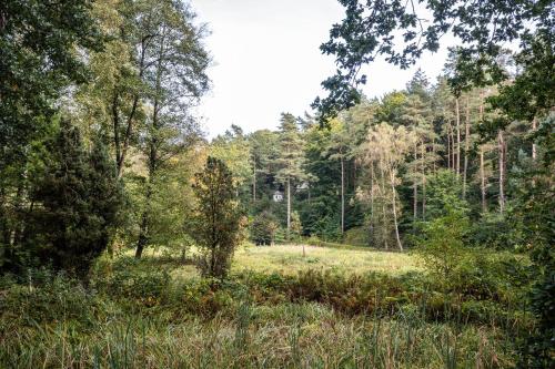 Viesnīcas āriene, Romatisches Ferienhaus in Eimke
