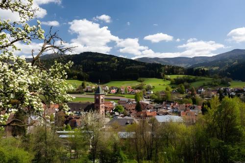Fewo Blumenweg in Elzach, Deutschland