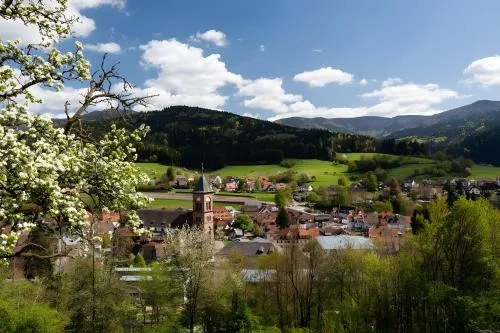 Fewo Blumenweg in Elzach, Deutschland