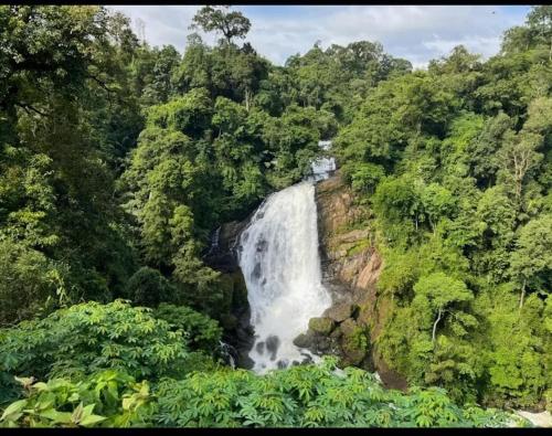 Alhind Residency , Valara, Munnar in Chillithodu
