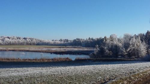 Viesnīcas āriene, Kleines Glück Wettenberg (Kleines Gluck Wettenberg) in Hochdorf (Baden-Wurttemberg)