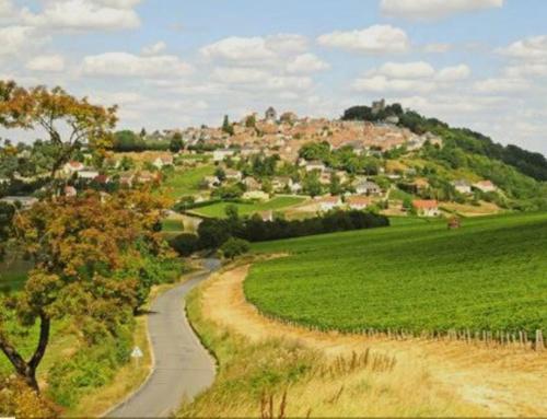 Entre vignes et Loire 2 in Thauvenay