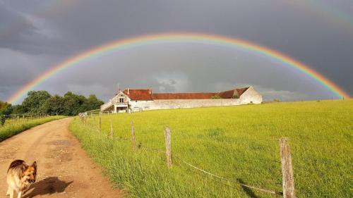 A szálláshely kívülről, Haras de la fontaine Datcha in Poligny (Ile-de-France)