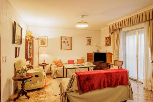 Amplio Apartamento Plaza Nueva