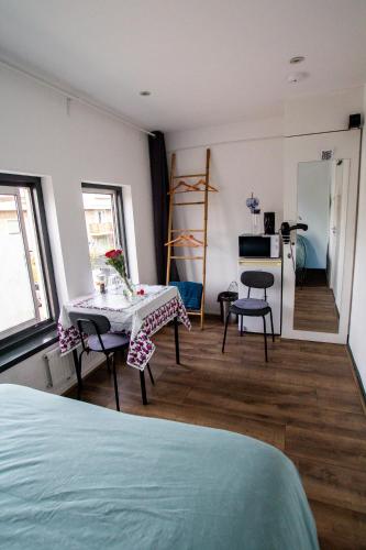 Bed and Breakfast Amsterdam Holy Dove, Amsterdam (photo 2)