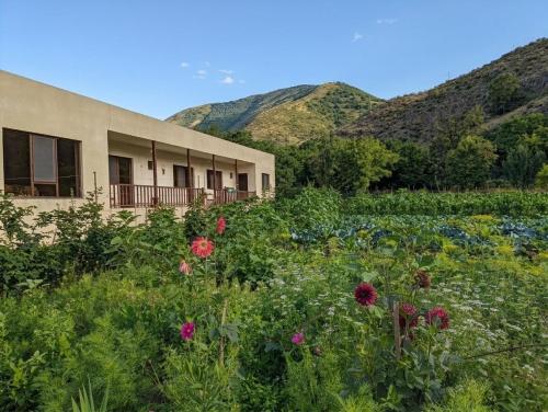 Bee House - Khashuri