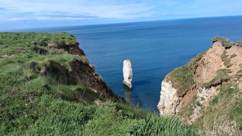KOTA Finlandais ETRETAT in Les Loges