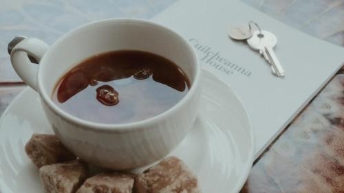 Dış Görünüm, Cuilcheanna House - near Glencoe - room only or breakfast available in Onich