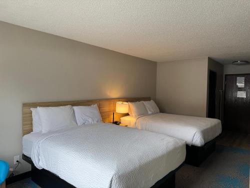 2 queen beds