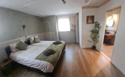  de Tweelingen in Schoonloo