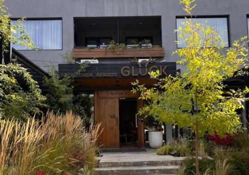 Gluck Patagonia Aparts