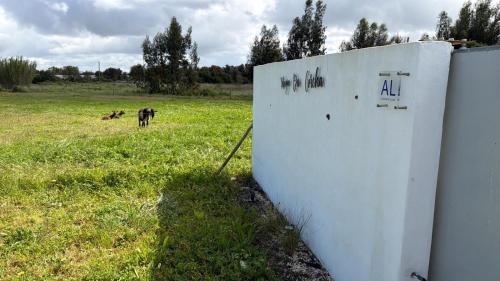 Refúgio da Corcha casa de campo e mar Zambujeira do mar gîte à louer Fataca