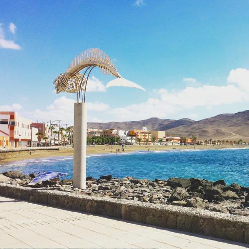 Fuerteventura in Loft in Gran Tarajal