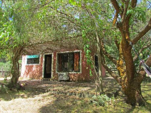 Casa Refugio en el bosque