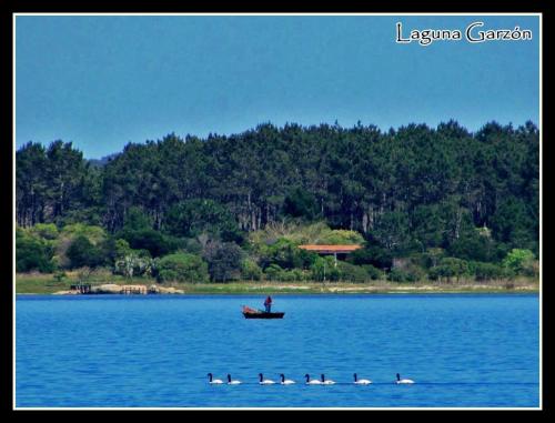 Casa Refugio en el bosque in Jose Ignacio