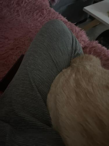 Lalola