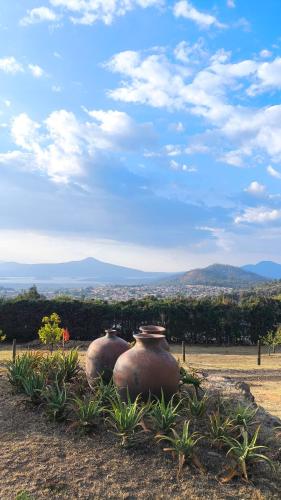 สภาพแวดล้อมโดยรอบ, Cabañas "Rancho La Mesa" (Cabanas "Rancho La Mesa") in ปัทซ์คูโร่