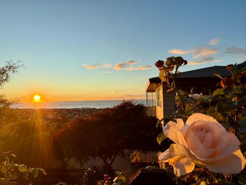 전망, Seaview Hill Retreat in 오아마루