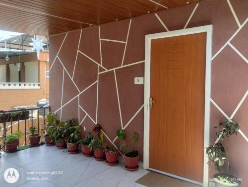 Star Cottage DVM