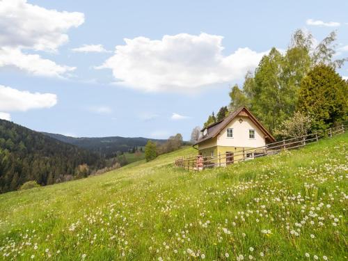 Berghütte in Sankt Andrä bei Koralpe
