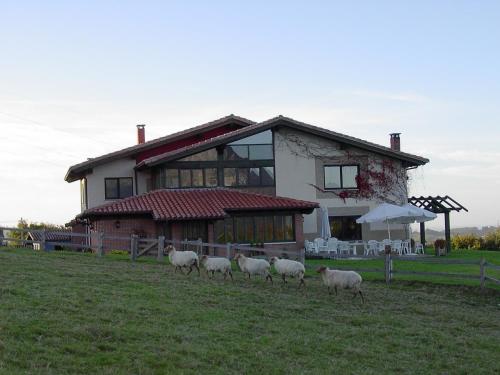 Paraje del Asturcon - Adults only Paraje del Asturcon - Adults only